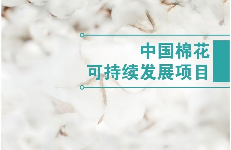中国棉花可持续发展项目介绍