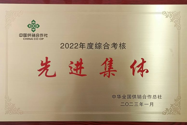 中国棉花协会荣获总社2022年度综合考核先进集体